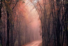 英超清晨再迎强敌；马德里竞技止住颓势；主帅态度：赛场秩序良好；控场能力受关注的简单介绍